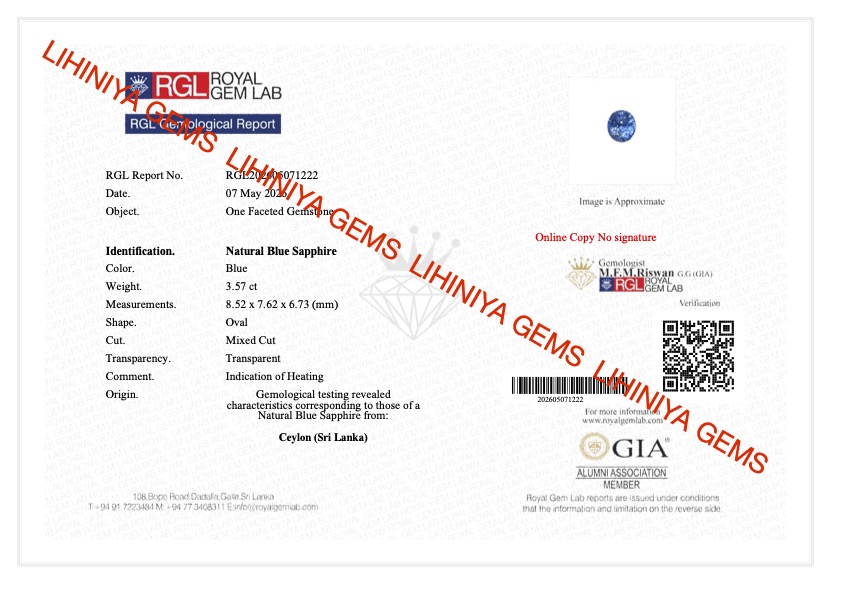 LGG-P-BS-000743
