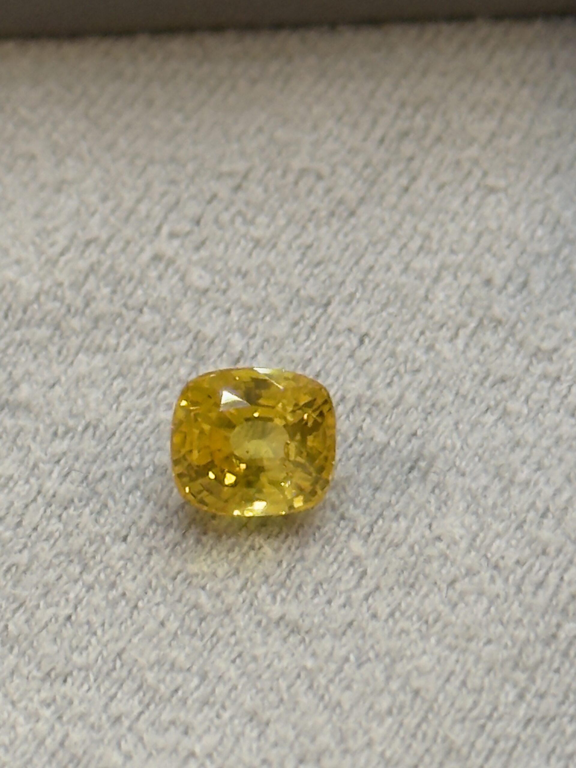 LGG-P-YS-000750