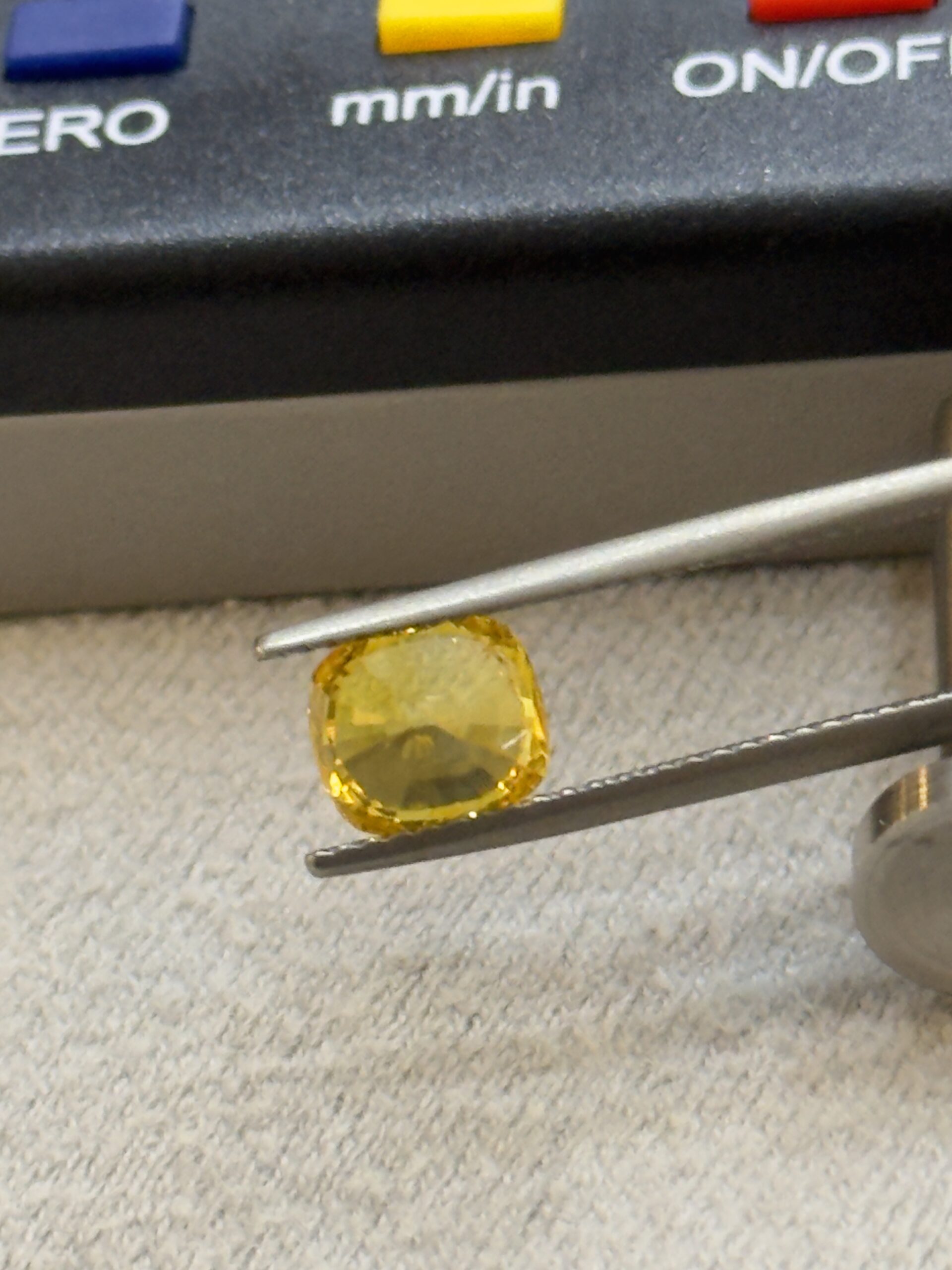 LGG-P-YS-000750