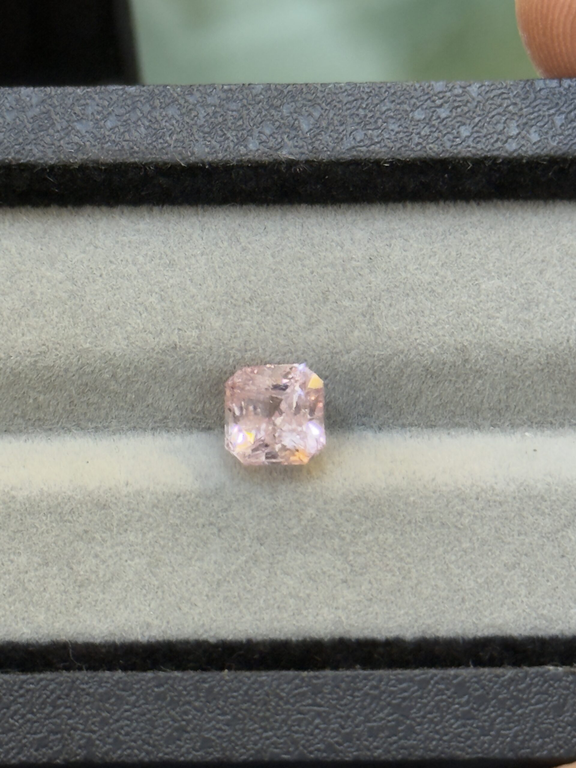 LGG-P-FS-000771