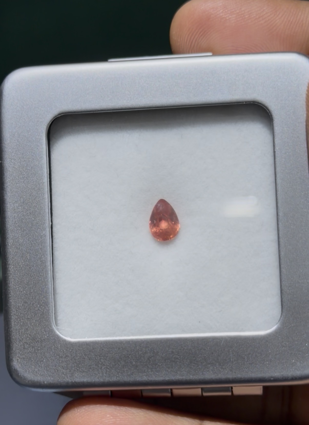 LGG-P-PD-000775