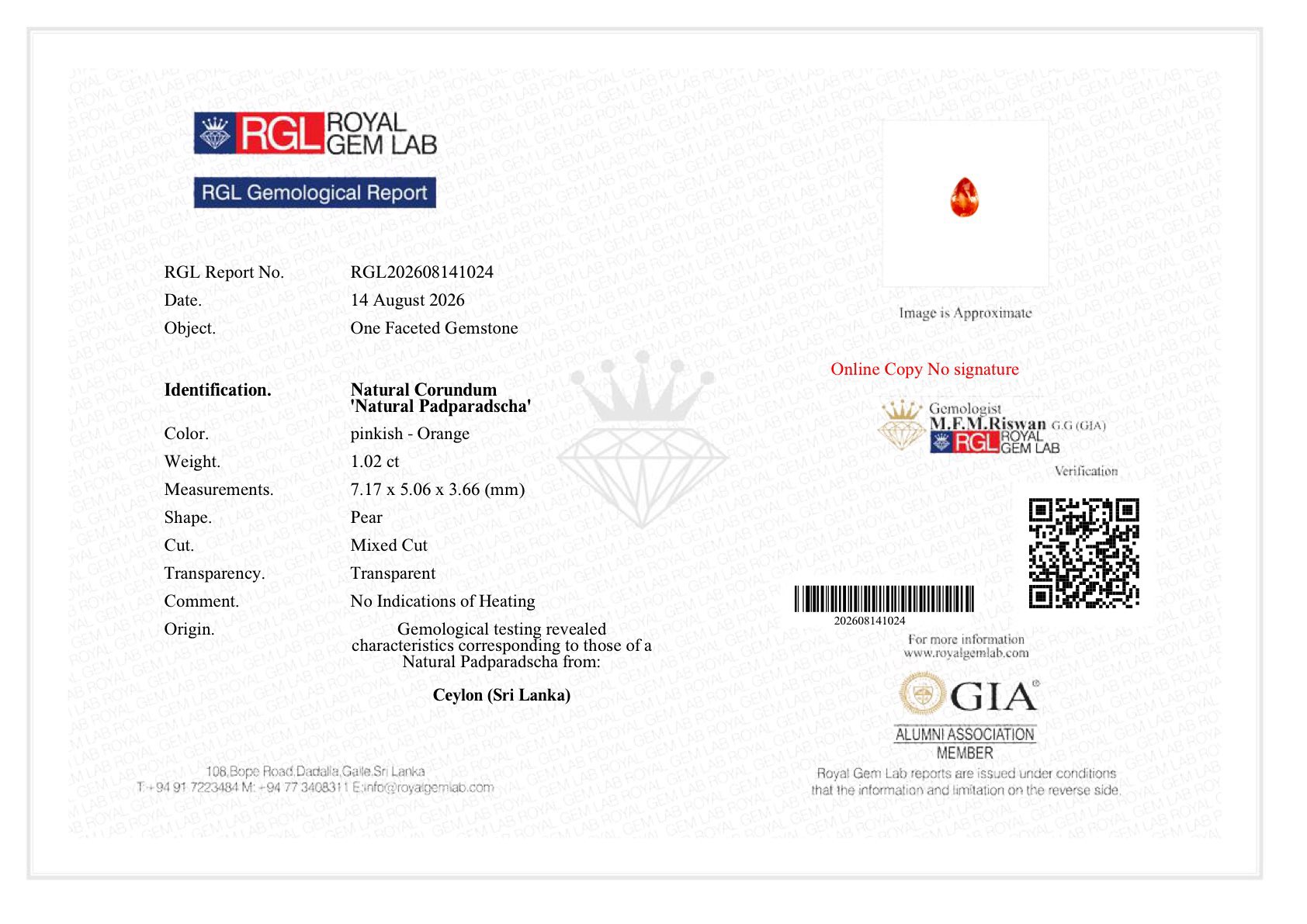 LGG-P-PD-000775