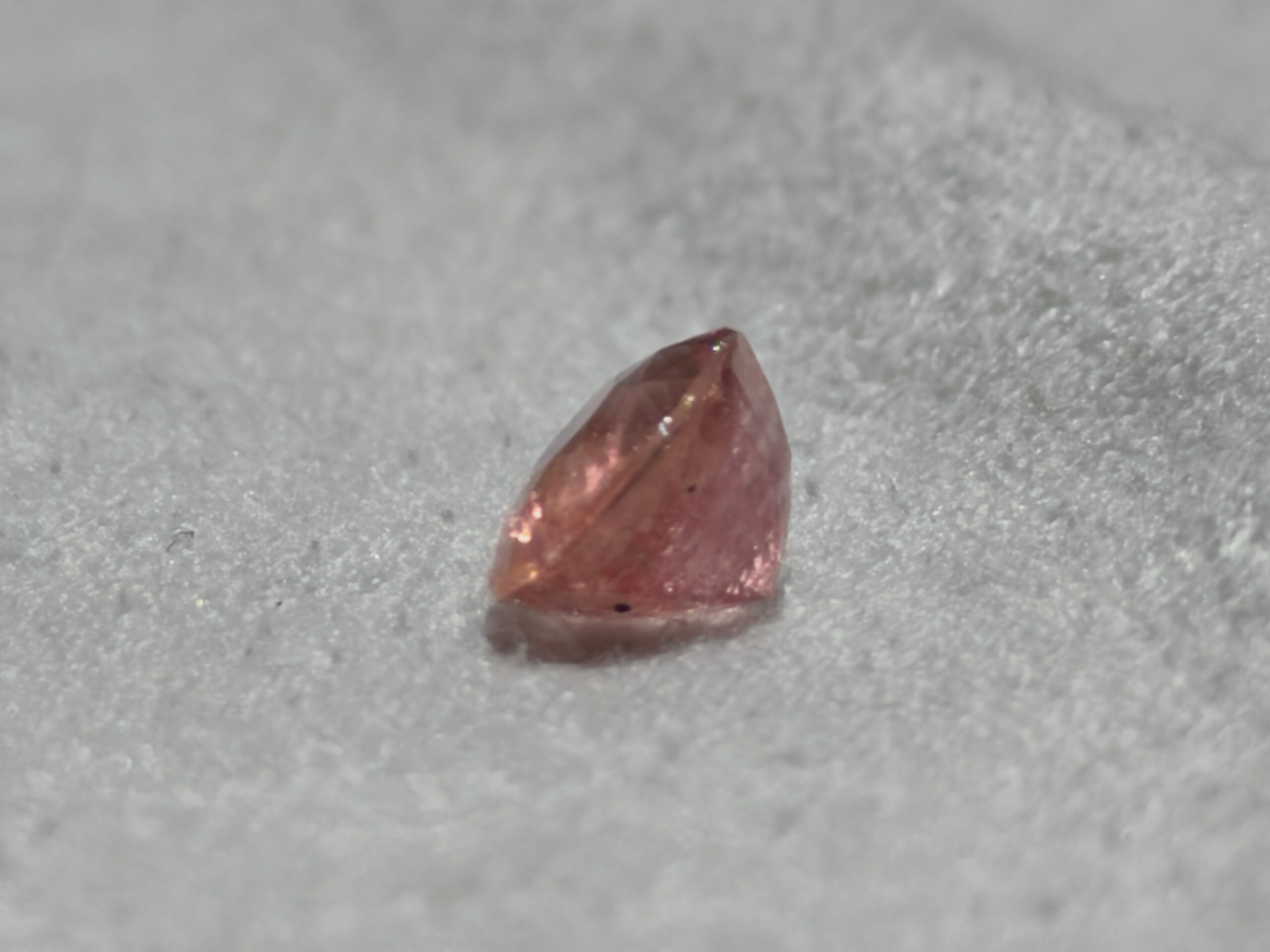 LGG-P-PD-000779