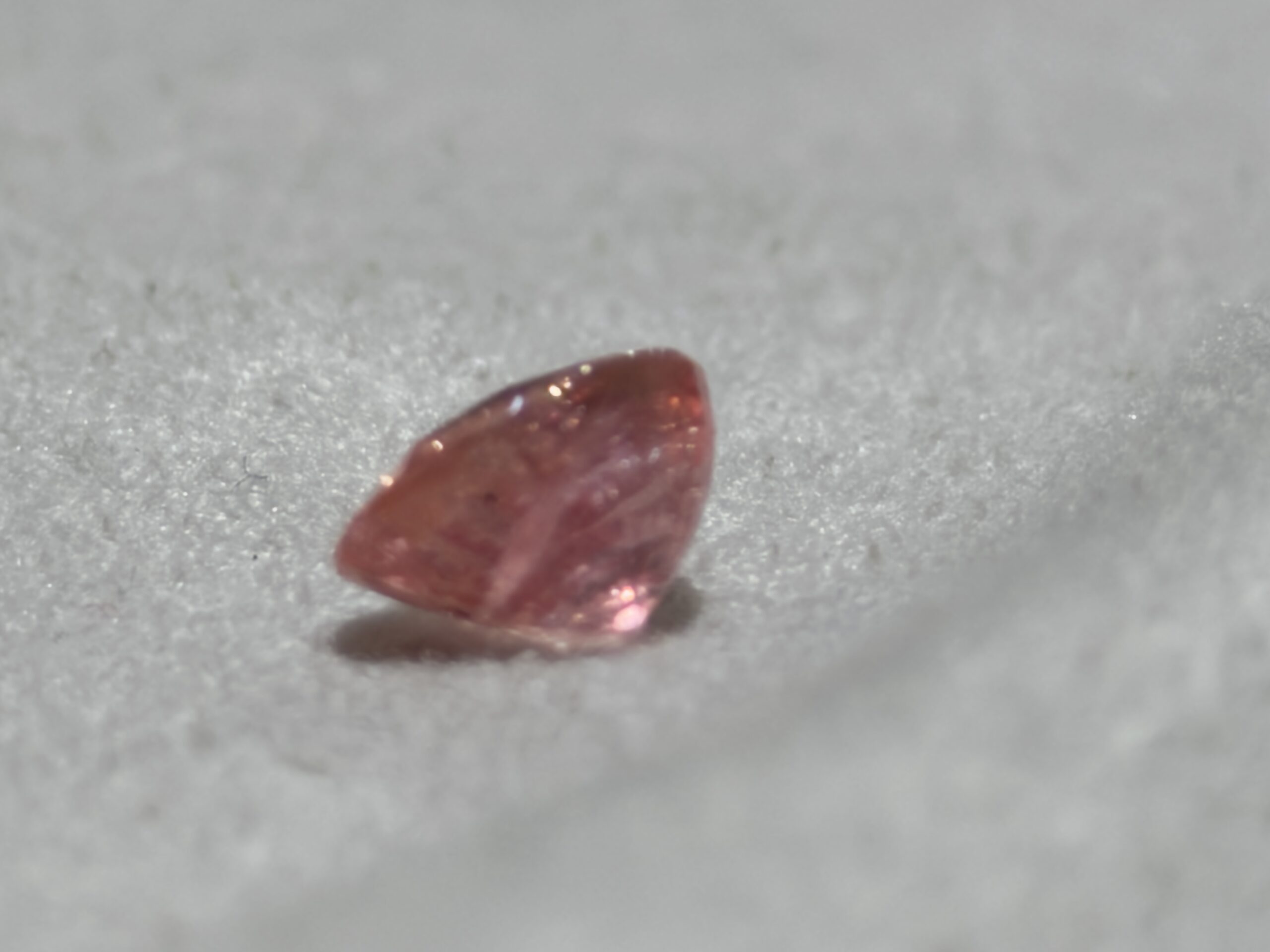 LGG-P-PD-000779