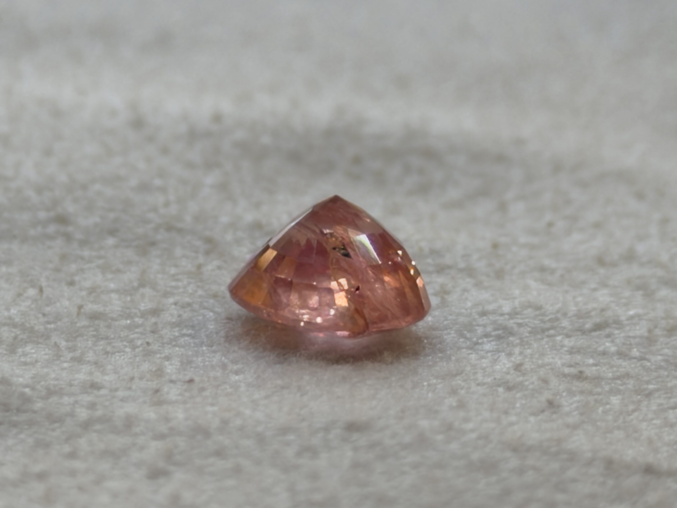 LGG-P-PD-000779