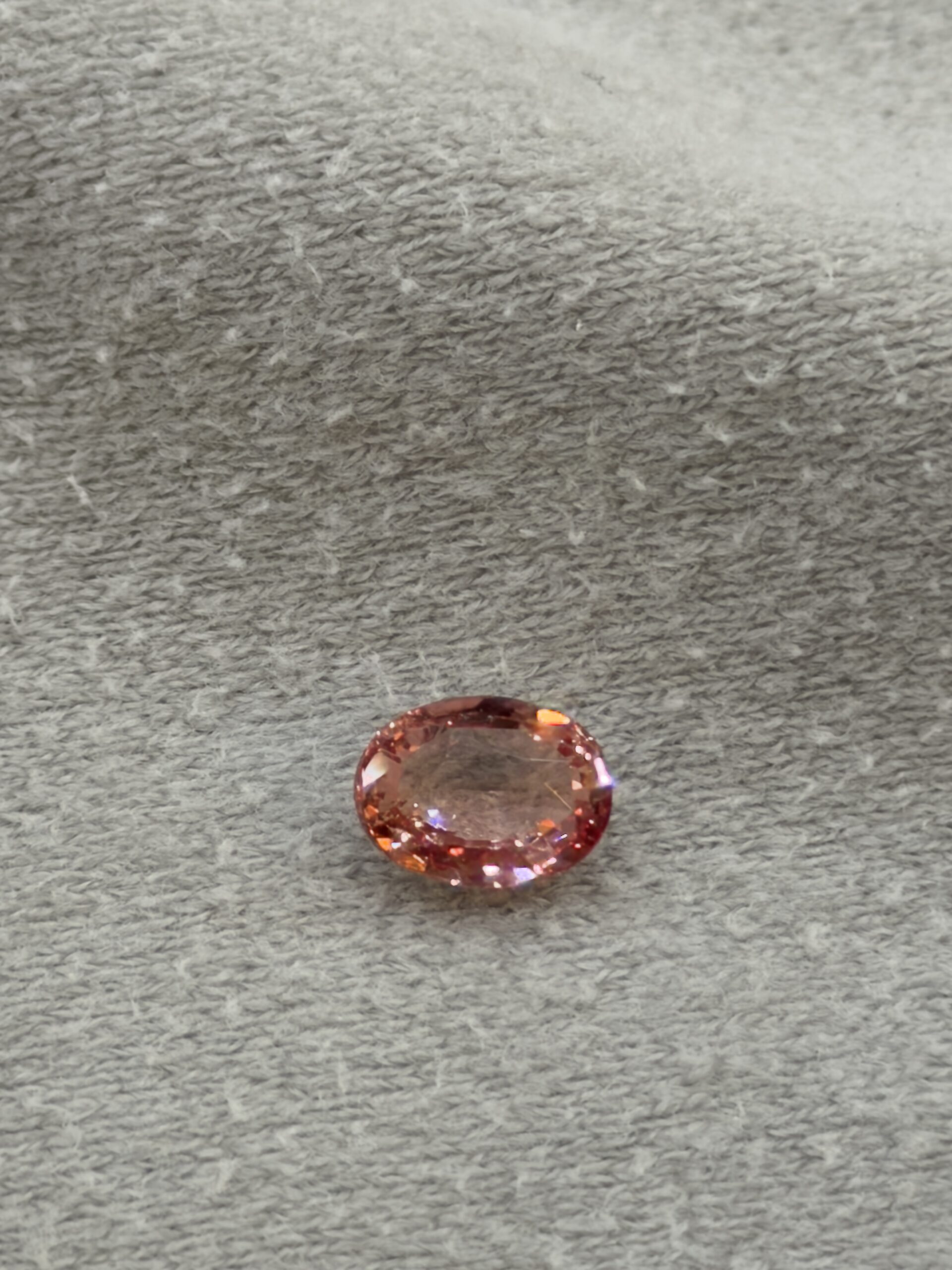 LGG-P-PD-000776
