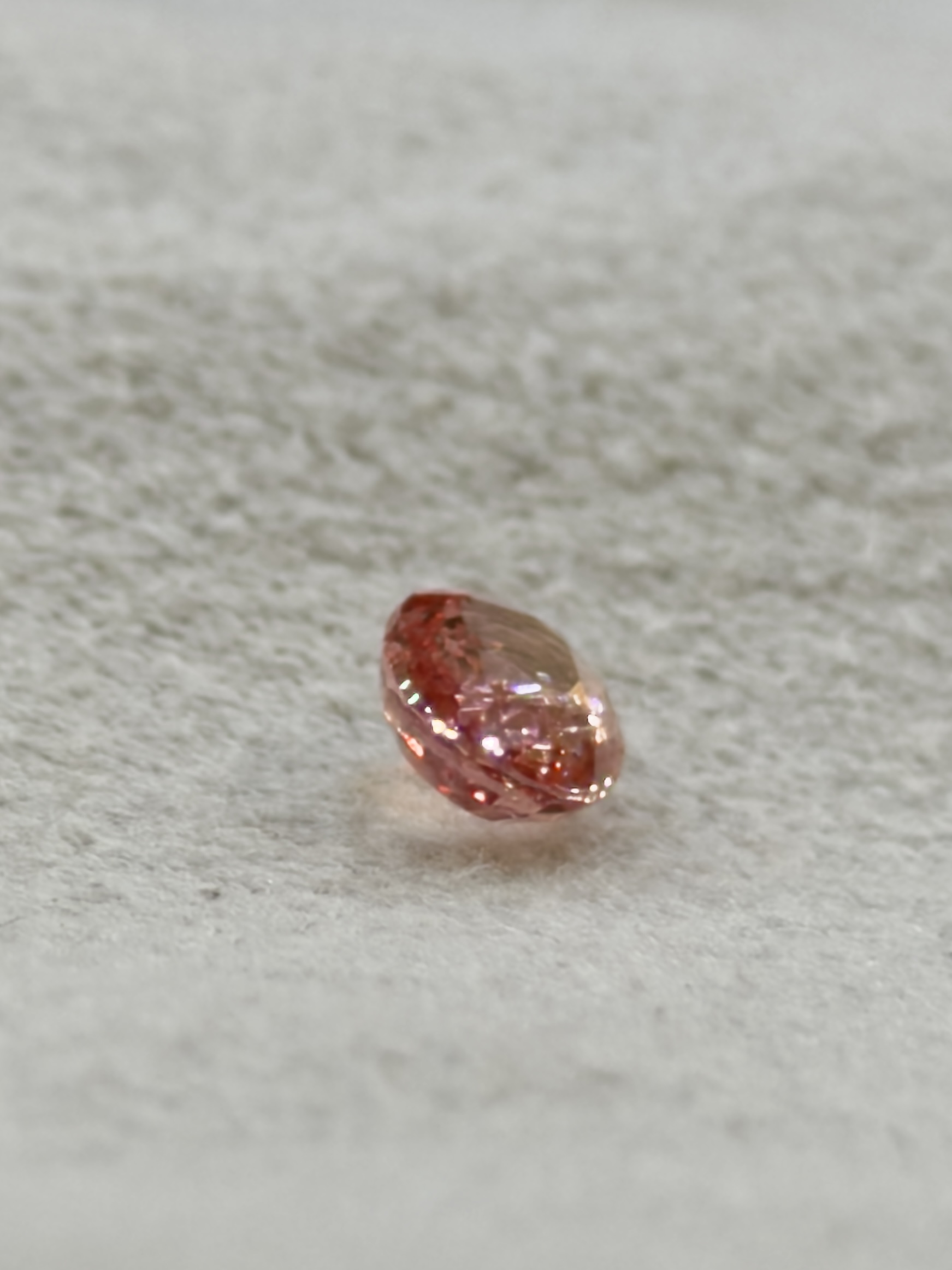 LGG-P-PD-000776